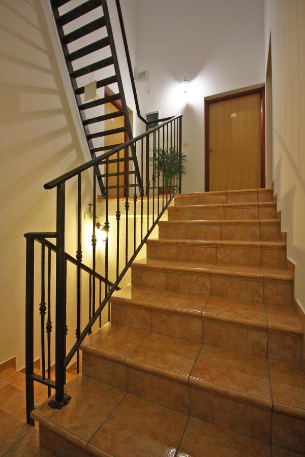 Brijunisol - 3 Apartments Top Position Near The Beautiful Beach ฟาชานา ภายนอก รูปภาพ